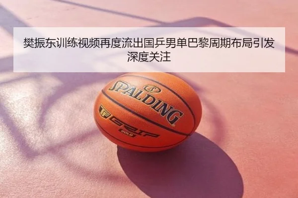 樊振东训练视频再度流出国乒男单巴黎周期布局引发深度关注