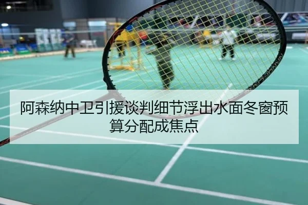 阿森纳中卫引援谈判细节浮出水面冬窗预算分配成焦点