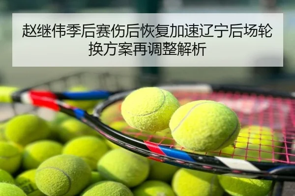 赵继伟季后赛伤后恢复加速辽宁后场轮换方案再调整解析