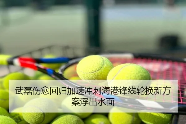 武磊伤愈回归加速冲刺海港锋线轮换新方案浮出水面